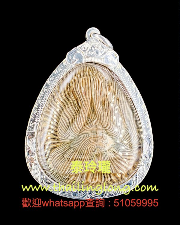 Sold~0119 屈铁贯烫-- 龙婆Pae 2538 必打 (混合经粉/线纹版本) [已售]