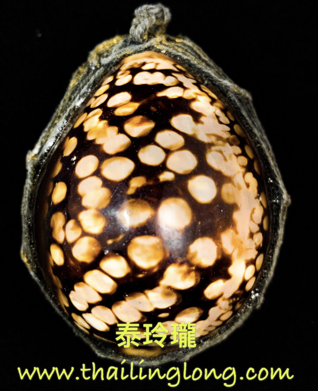 AJ10 屈班半-- 龍婆漆 2556 擋降貝 32牙 後大符管 (內有符珠特大版)
