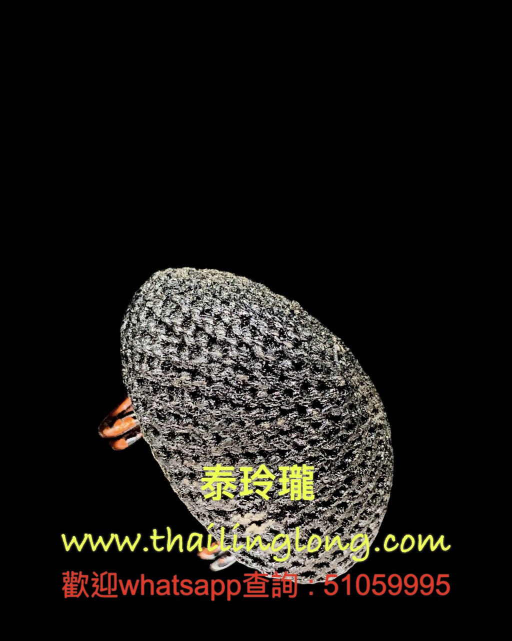 AJ13 屈間辦驕-- 龍婆遮 2532-52 三十二牙 水銀擋降貝 (內有符片 版本)