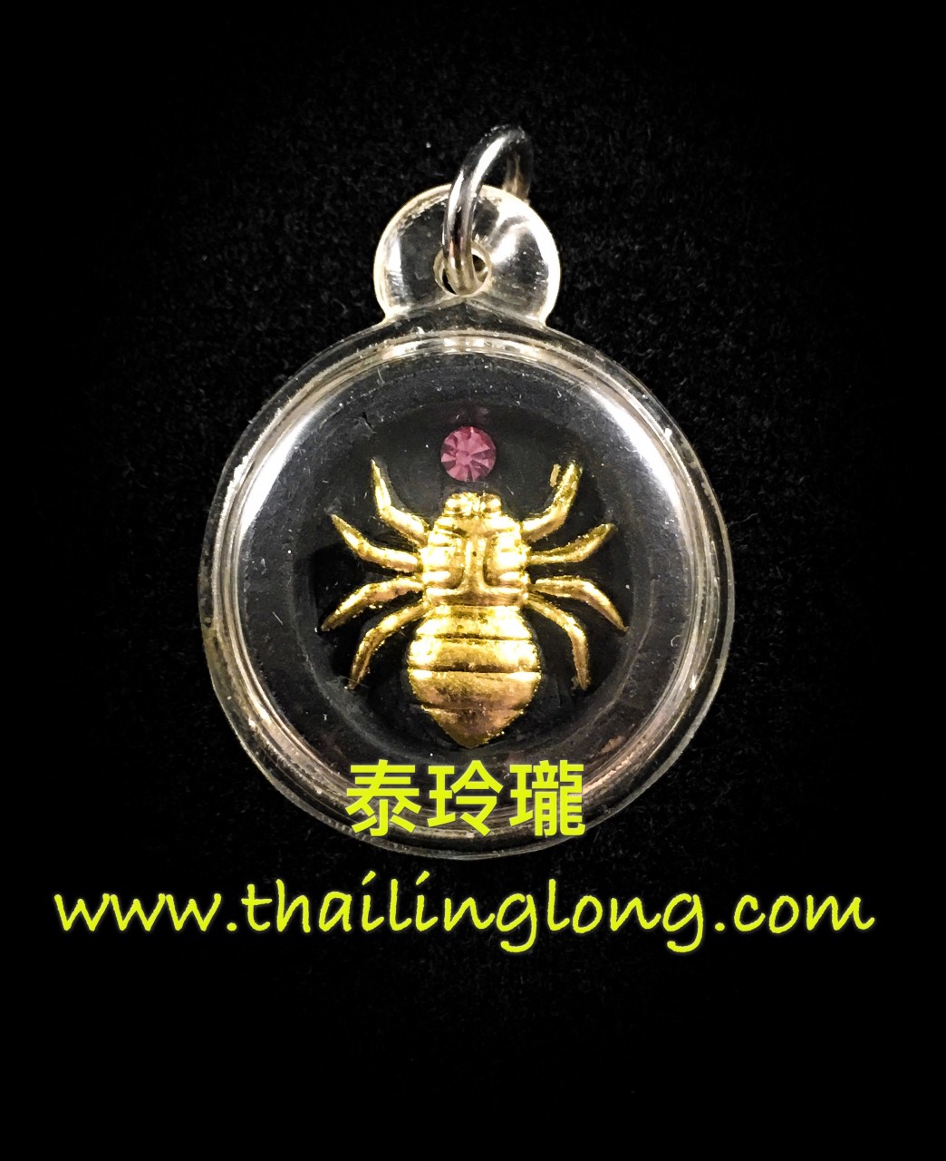 AL53 屈辦公-- 亞贊礦 2556 招財蜘蛛後雙魚 (黑色經粉版)---[招財類]